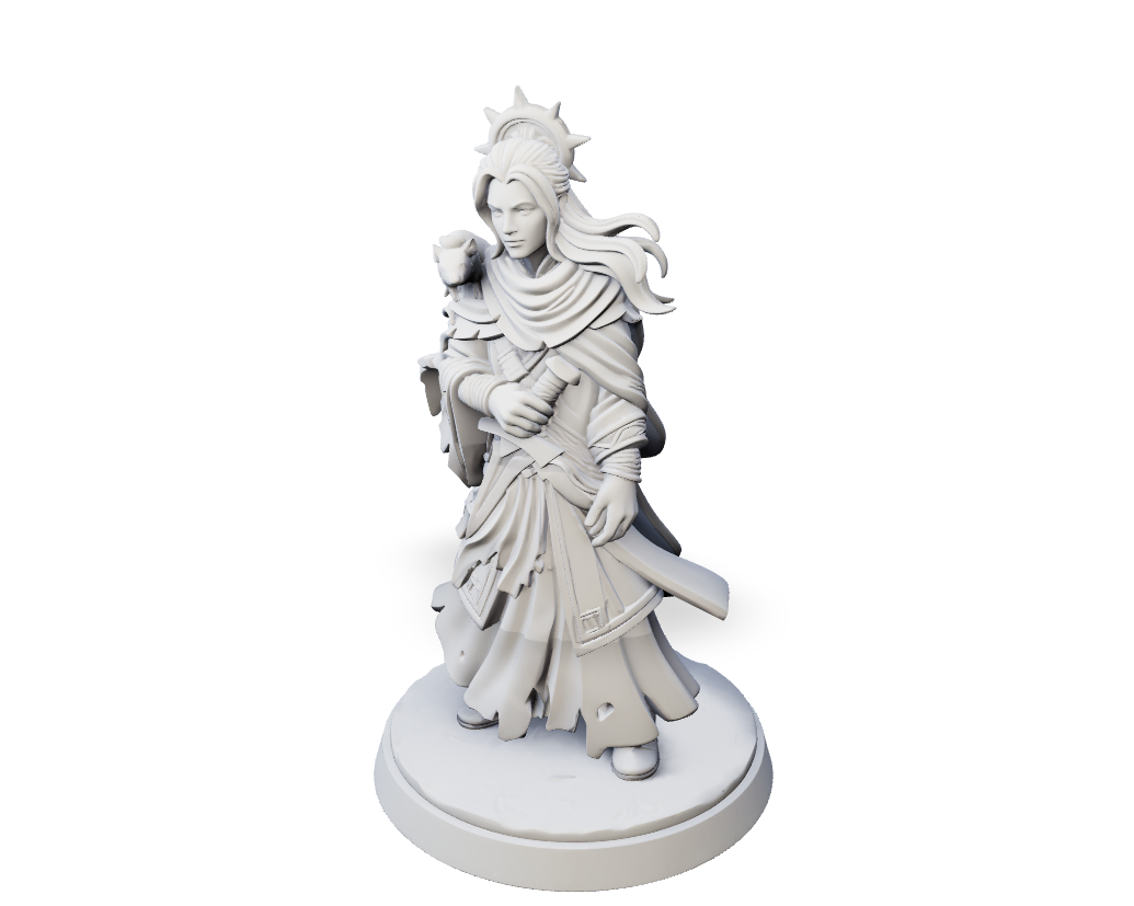 Silver Cloak Aasimar - Hero Mini | Tabletop Miniature STL
